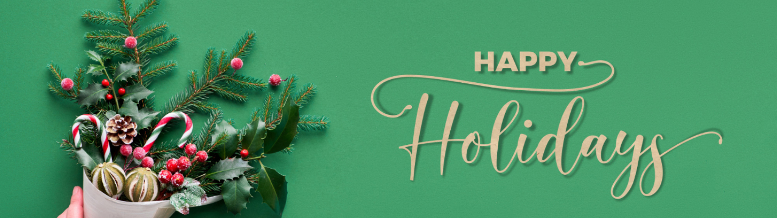 Happy Holidays from Moving Services Inc.!